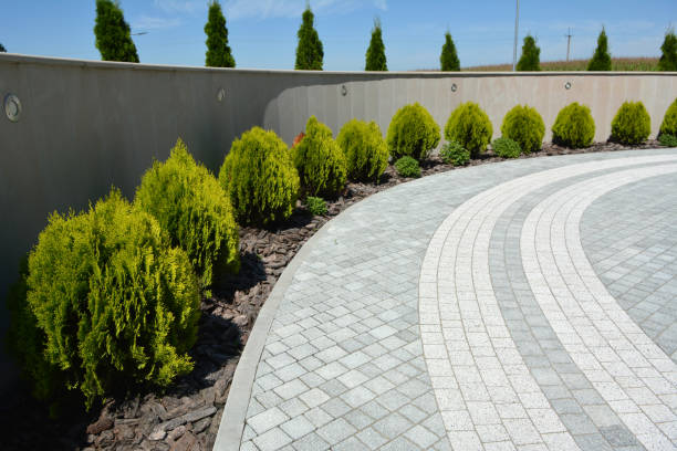Best Driveway Paver Repair  in Bull Shoals, AR